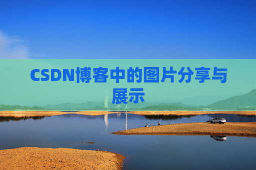CSDN博客中的图片分享与展示